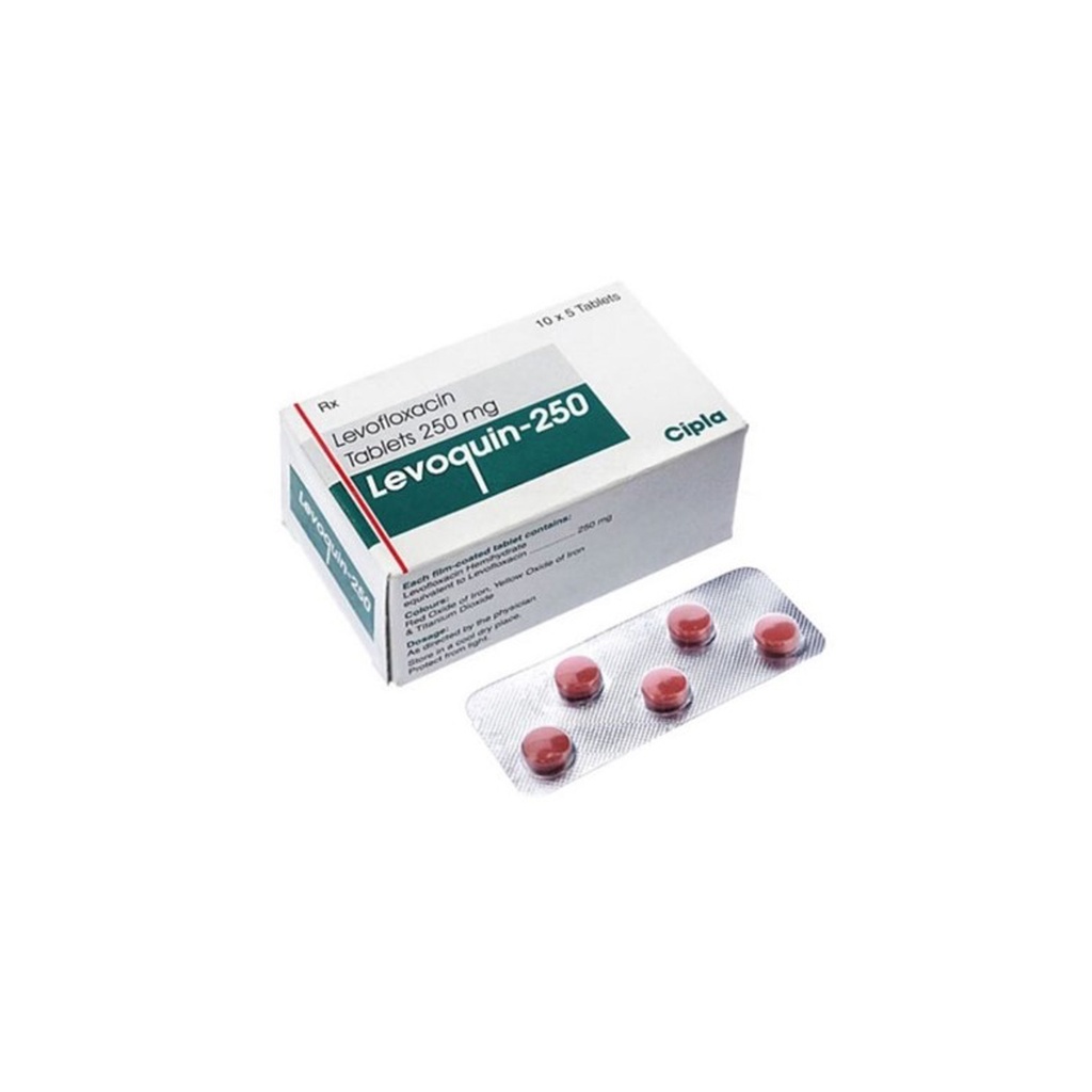 LEVAQUIN 250 MG 5 TABLET 