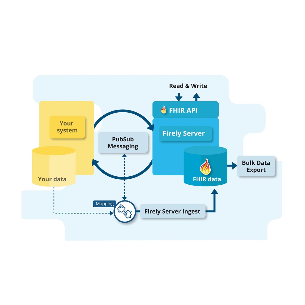 Data integration services ( Hl7, FHIR , API  )