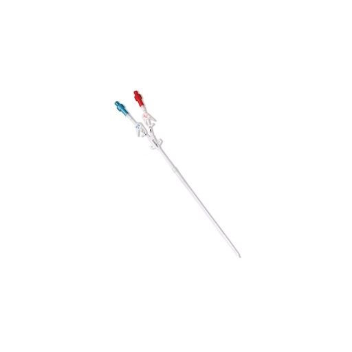 Glidepath chronic dilaysis catheter 