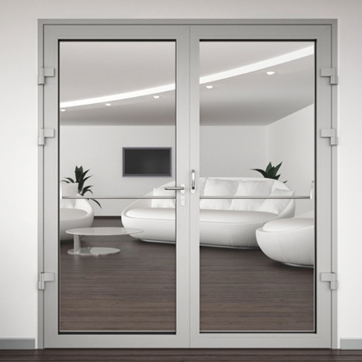 TALL DOUBLE AUX CLEAR DOORS