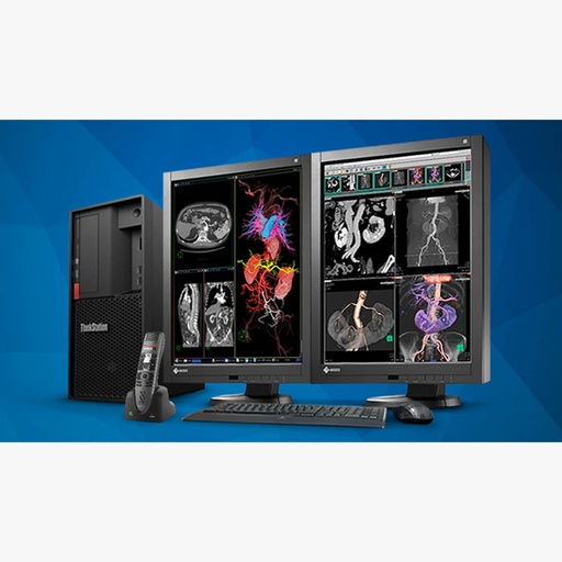 Diagnostic and Clinical Displays along with Workstations 