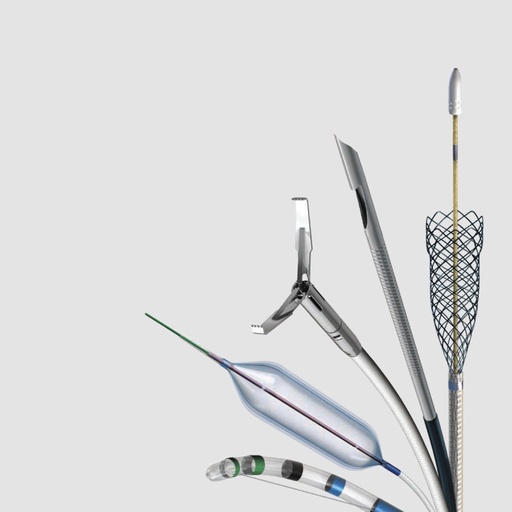 Wide range of items for gastroenterology includes Ligators, wire guide, Needles,Sanres,extraction and retrieval devices ,Forceps, biliary and pancreatic stent 